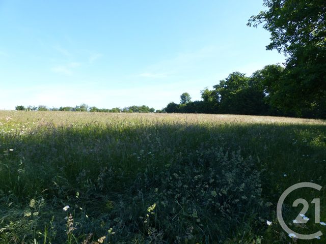 Afficher la photo en grand terrain à vendre - 4715.0 m2 - GRAND CAMP - 27 - HAUTE-NORMANDIE - Century 21 Soluce Habitat