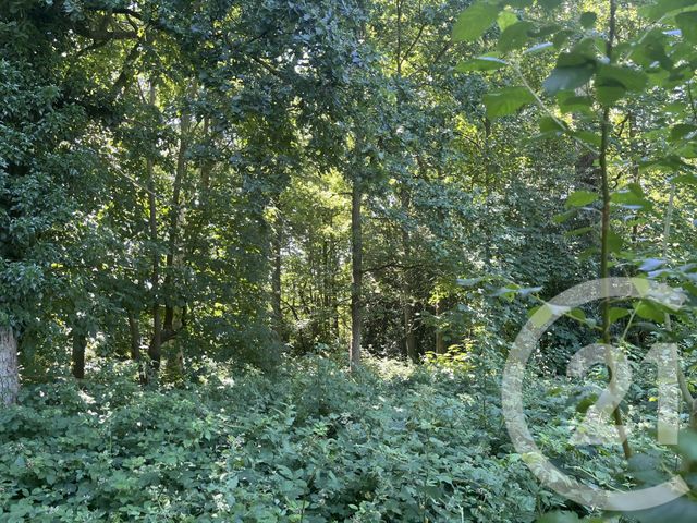 terrain - BRIONNE - 27
