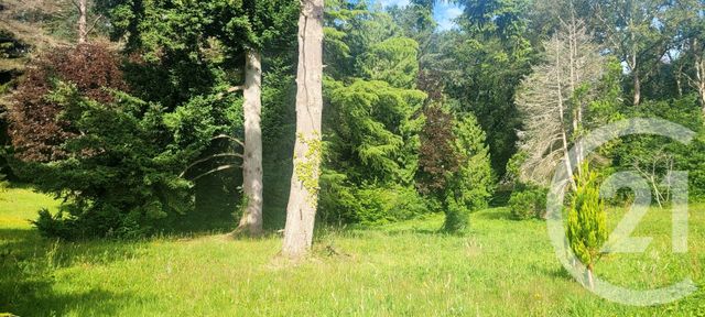 terrain à vendre - 1317.0 m2 - ST HILARION - 78 - ILE-DE-FRANCE - Century 21 Soluce Habitat