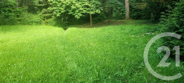 terrain à vendre - 1317.0 m2 - ST HILARION - 78 - ILE-DE-FRANCE - Century 21 Soluce Habitat